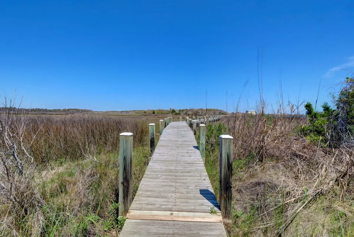 A serene wooden walkway stretches across lush marshland under a bright blue sky. The path invites walkers to explore the natural beauty of the coastline while offering views ideal for bird watching and wildlife spotting.